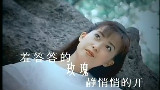 孟庭苇 《羞答答的玫瑰静悄悄地开》