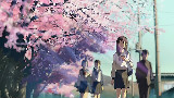 樱花樱花想见你X秒五