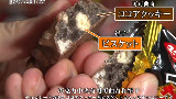 深受全世界喜爱的日本零食