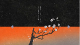 【怪 化猫】夏花