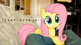 FritzyBeat - Fluttershys (Owl City Ponified)