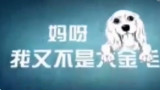 《蛋子儿刺挠》 把主播笑岔气了都