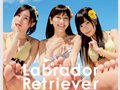 【AKB48第36单PV合集】拉布拉多犬 泳装萌妹子 全6首+1正式版【字幕】