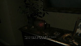 【Q-FlameShot】PT高能吓尿直播解说录像