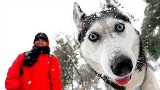 YouTube点击率高的【傻缺集锦】