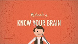 【10分钟速成课:心理学】第4集 - 认识你的大脑