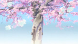 【秒速五厘米/治愈】花开花落人如旧