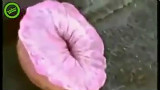 迷之水生物