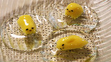 【Decocookie】和菓子,制作可爱哒懒蛋蛋~