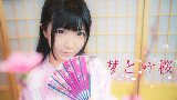 【豆豆子】✿梦和叶樱✿