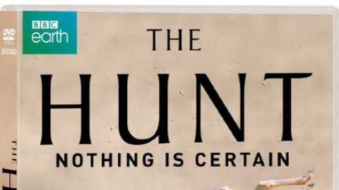 【2015BBC纪录片/英国】猎捕(The Hunt)第一季 01【字幕组ZiMuZu】