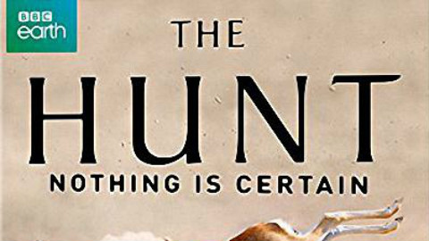 【2015BBC纪录片/英国】猎捕(The Hunt)第一季 05【字幕组ZiMuZu】