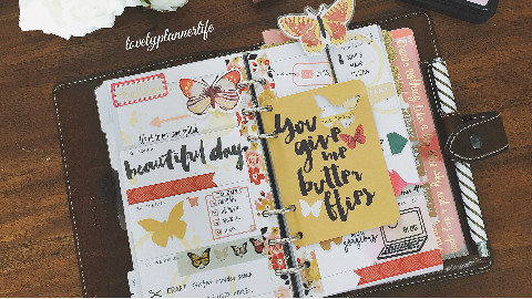 屁桃手帐之plan with me week 1 :Filofax Malden planner