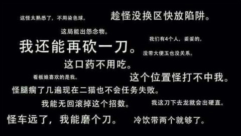 【怪猎OL】双斩少女与裸奔大汉与电剧