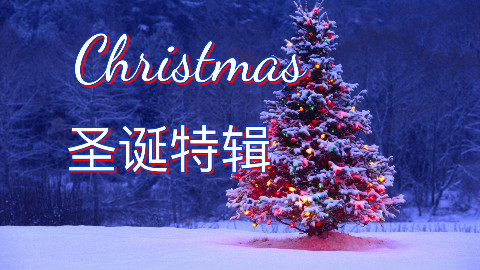 圣诞的特辑