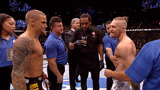 【UFC羽量超新星】肆意挑衅!McGregor VS Poirier(普瓦里尔)【UFC178期】