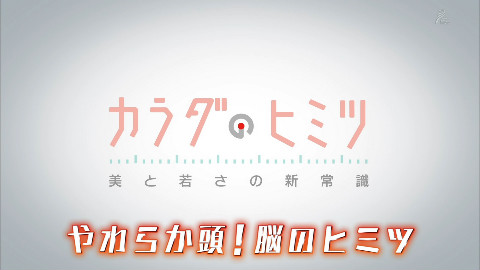 【综艺】【花丸字幕组】【身体的秘密】03 灵活的大脑 大脑的秘密
