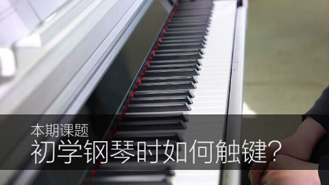 【音乐小课堂】《初学钢琴时如何触键》 钢琴初级教学系列