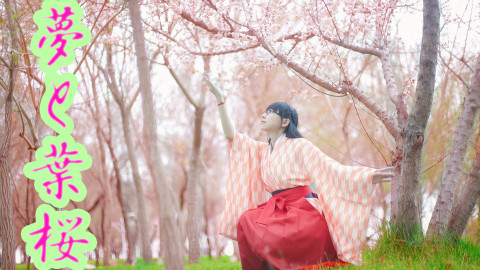 【影子】梦与叶樱