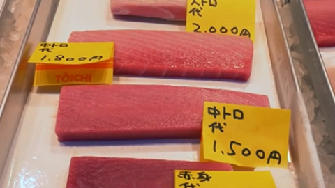 OIJ系列 带各位潜入日本最大的海鲜食材市场 筑地市场