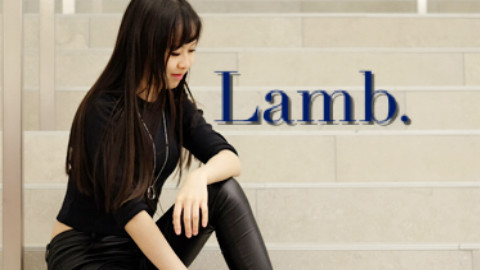 【Jancy】*Lamb.*