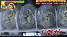 日本人来上海,竟然这些都没有见过