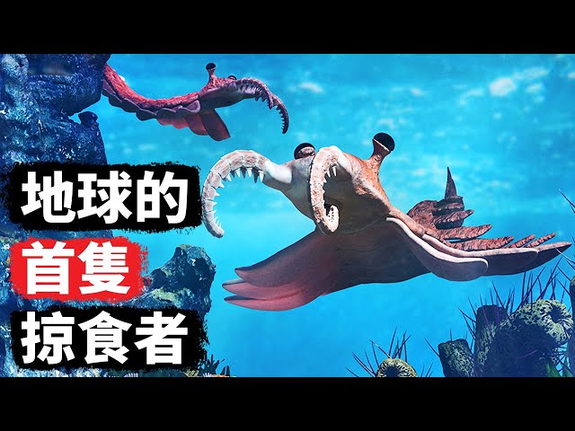 這個怪物早在巨齒鯊之前就嚇壞了各海域