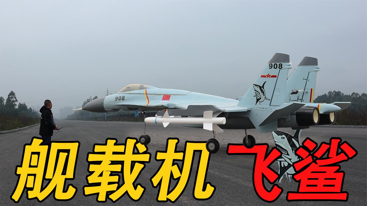 可以航母起降的: 【歼15航模舰载机】飞出眼镜蛇机动, 直冲云霄!