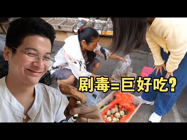 云南去年吃死了12人,好吃吗?宏基准备赌一把