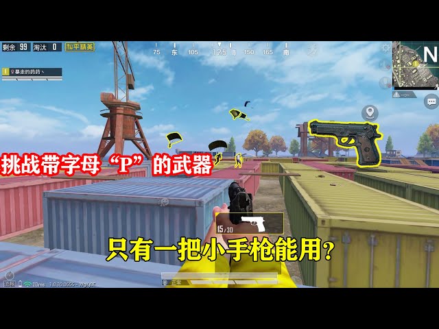 peace elite: 挑战带字母“p”的枪械吃鸡,这最后一个敌人是睡着了吗?【暴走的小药】