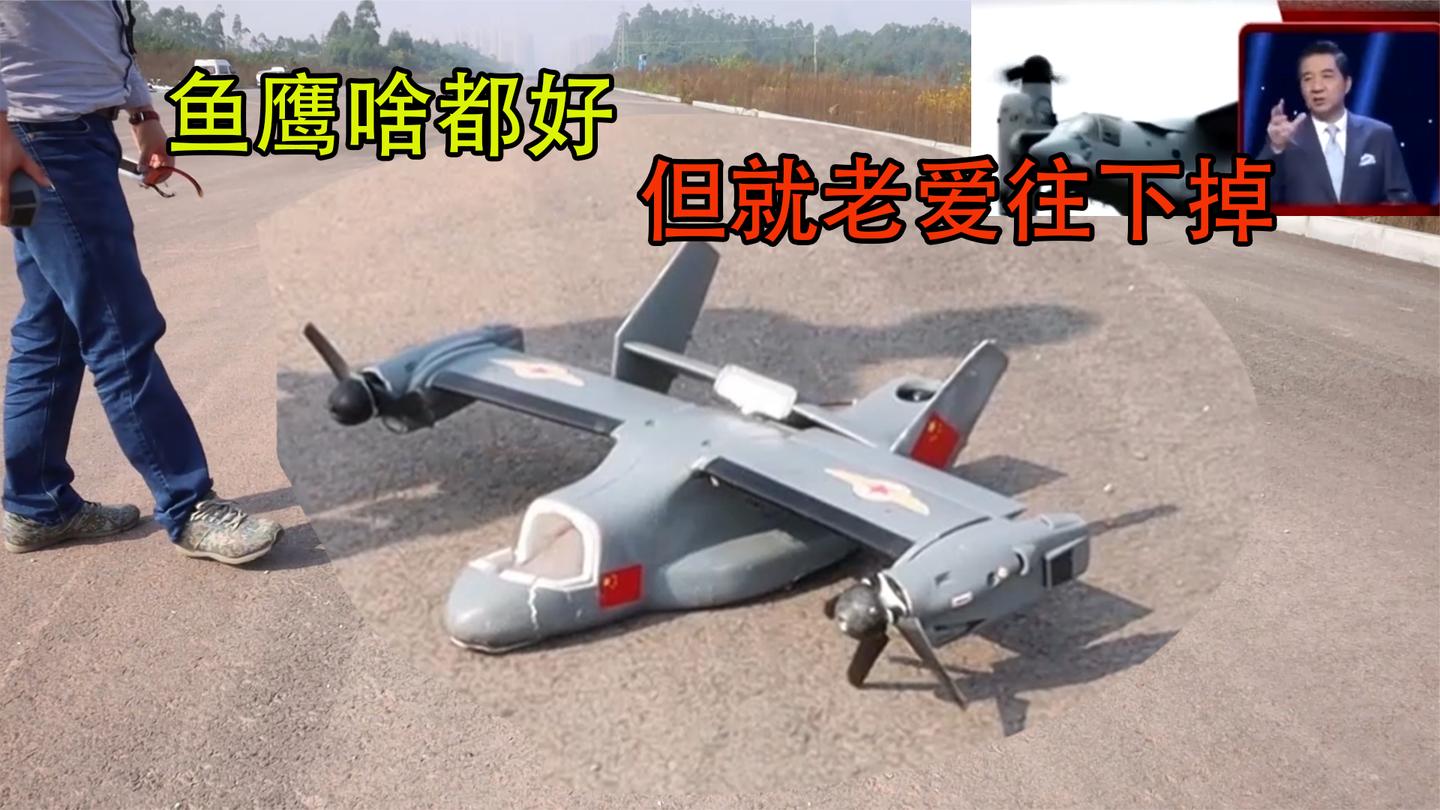 鱼鹰确实不行, 刚打开变翼, 直接进入螺旋掉下来!