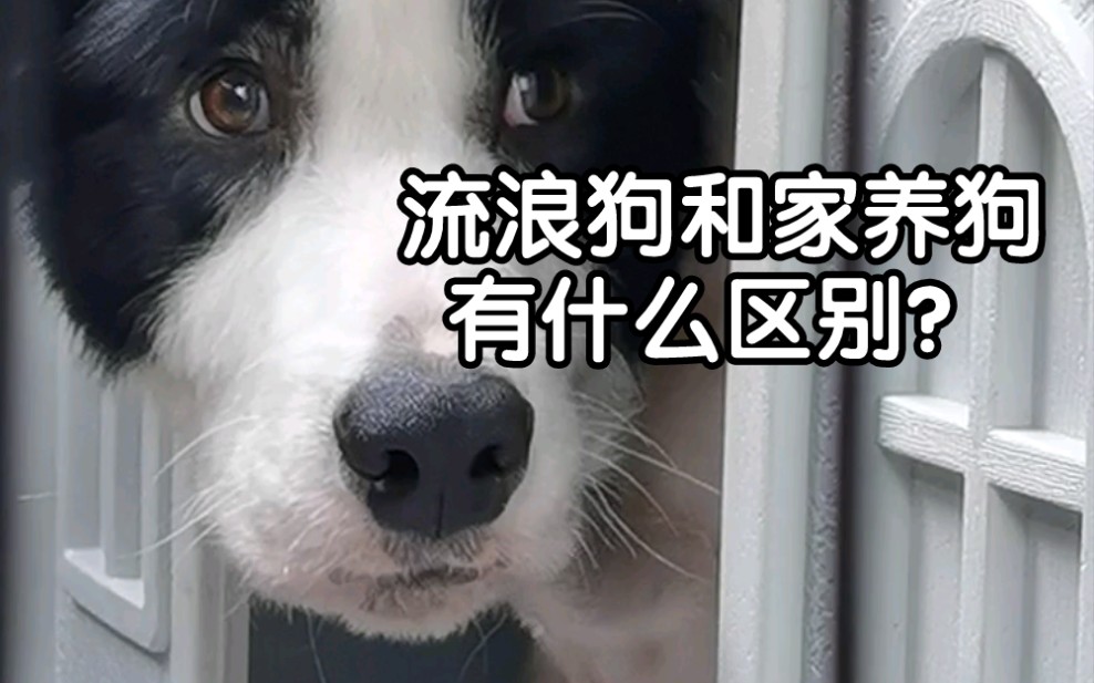 原来差一点爱, 会差这么多…