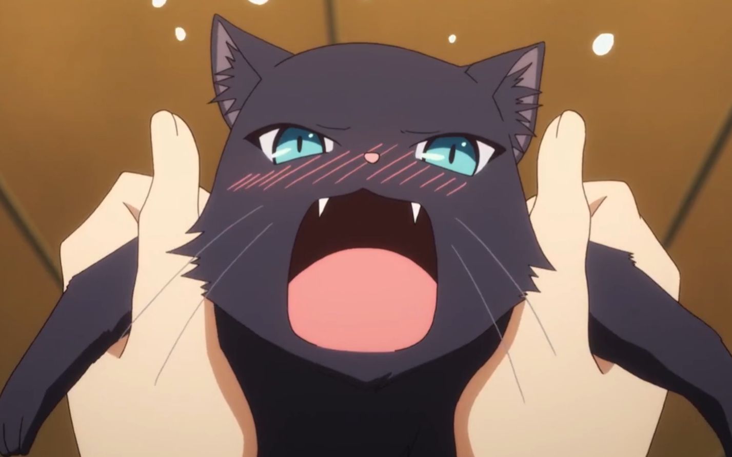 当妹子变成猫咪后