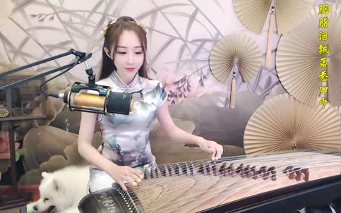 【stellar】 140624 stellar 舞蹈直拍