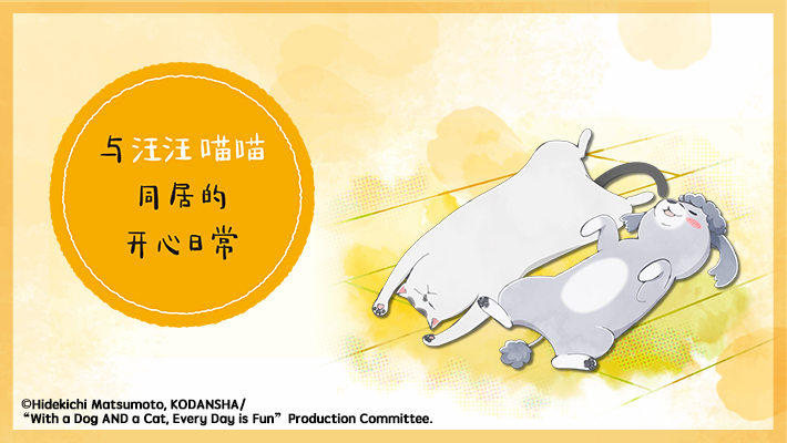 与汪汪喵喵同居的开心日常