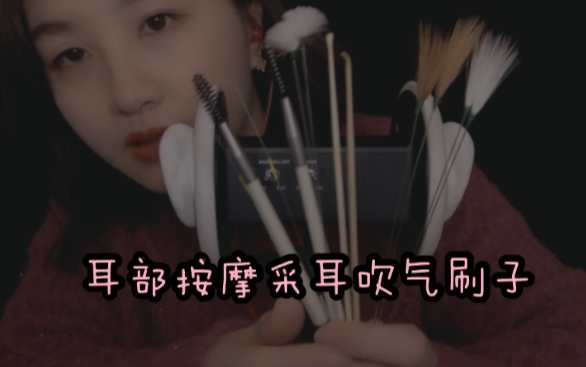 【3D立体声】耳朵痒痒酥酥麻麻的采耳全套来了~