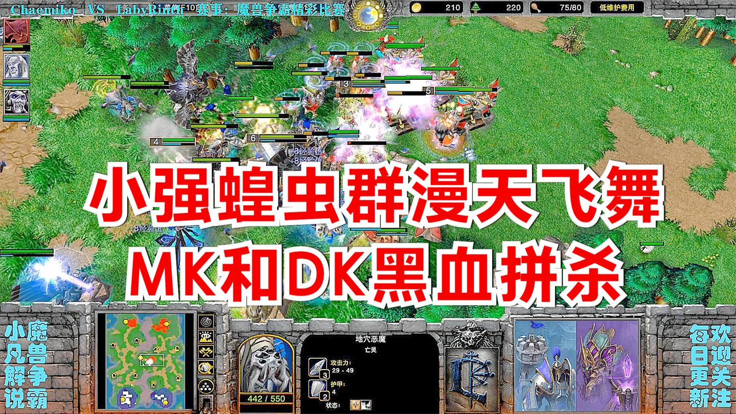 小强蝗虫群漫天飞舞, MK和DK黑血拼杀 精彩魔兽比赛