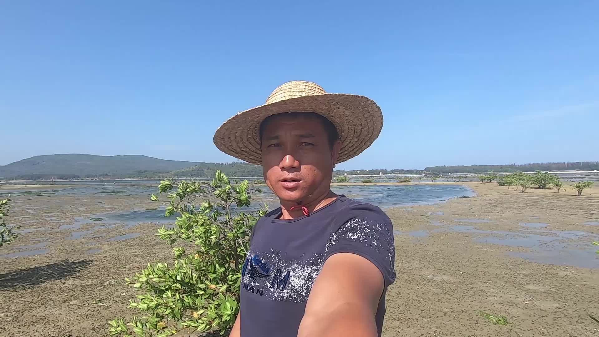 阿彬徒手赶海大爆发连抓三条水塘里的大货一天能卖上千块