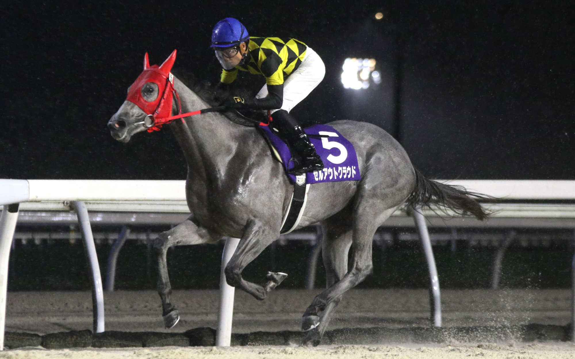 2026.8.19【門別競馬】第13回鲜花杯（H3）【セルアウトクラウド】