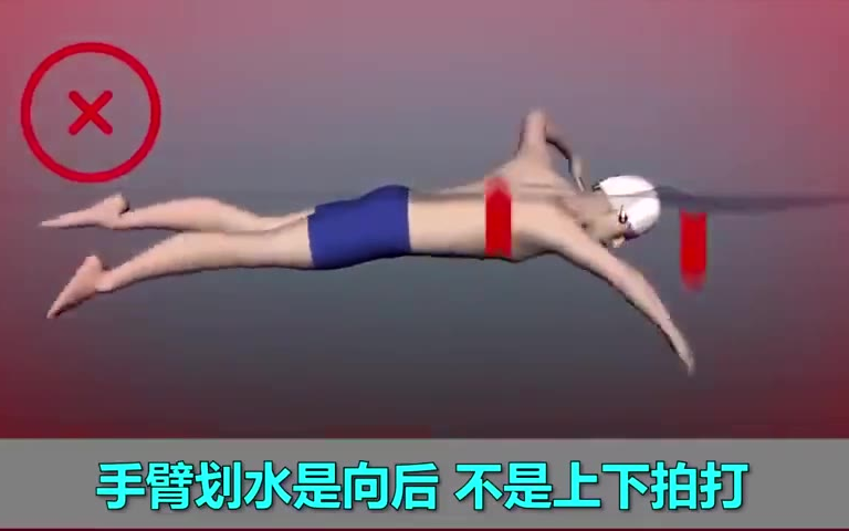 一套专业的学游泳教程,据说80%的人看完都学会了