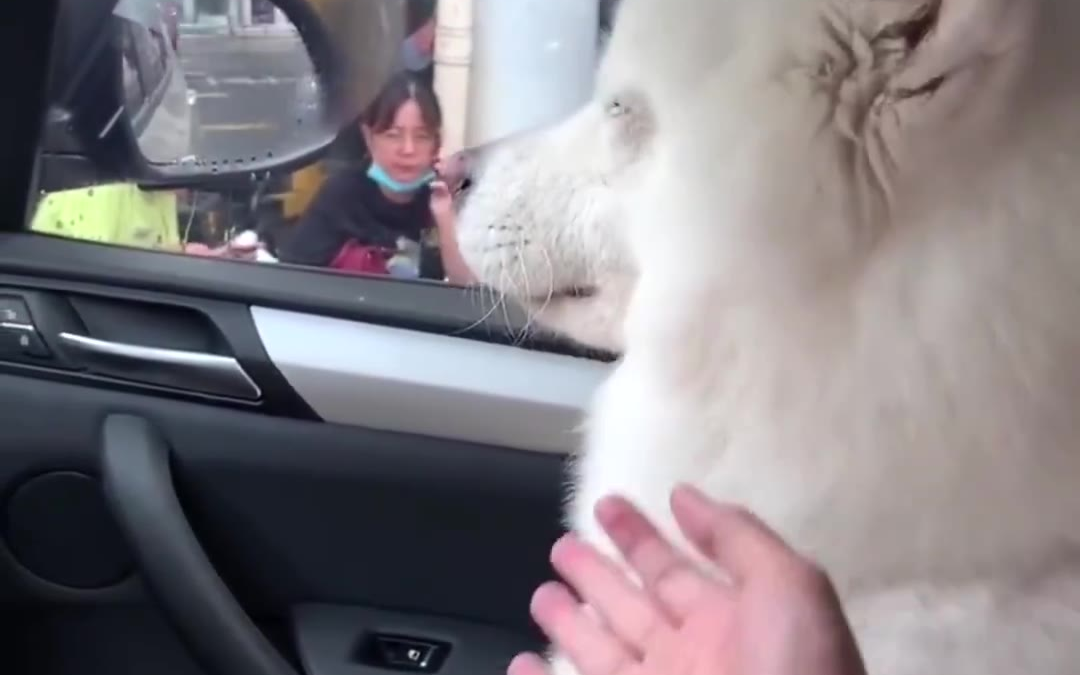 哈哈哈哈哈多少是有点敷衍