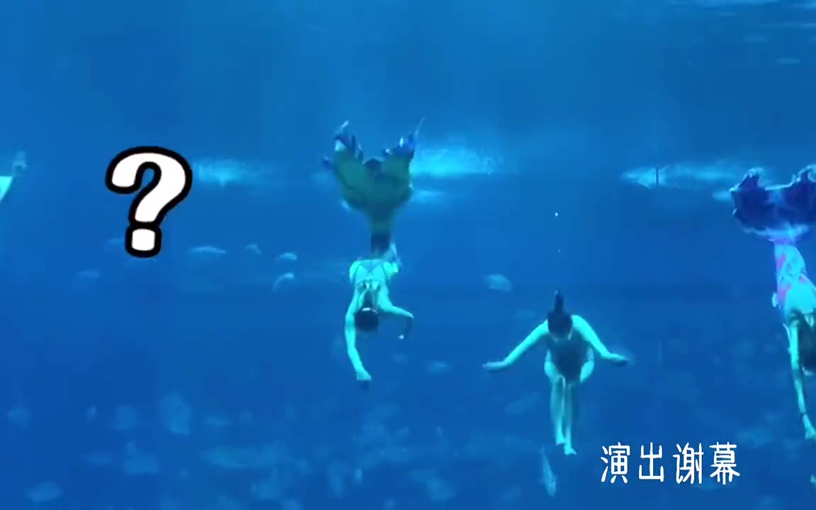 哈哈哈哈哈哈海洋馆表演谢幕少了个人,空出一个位置,一条鱼开心的混了进去