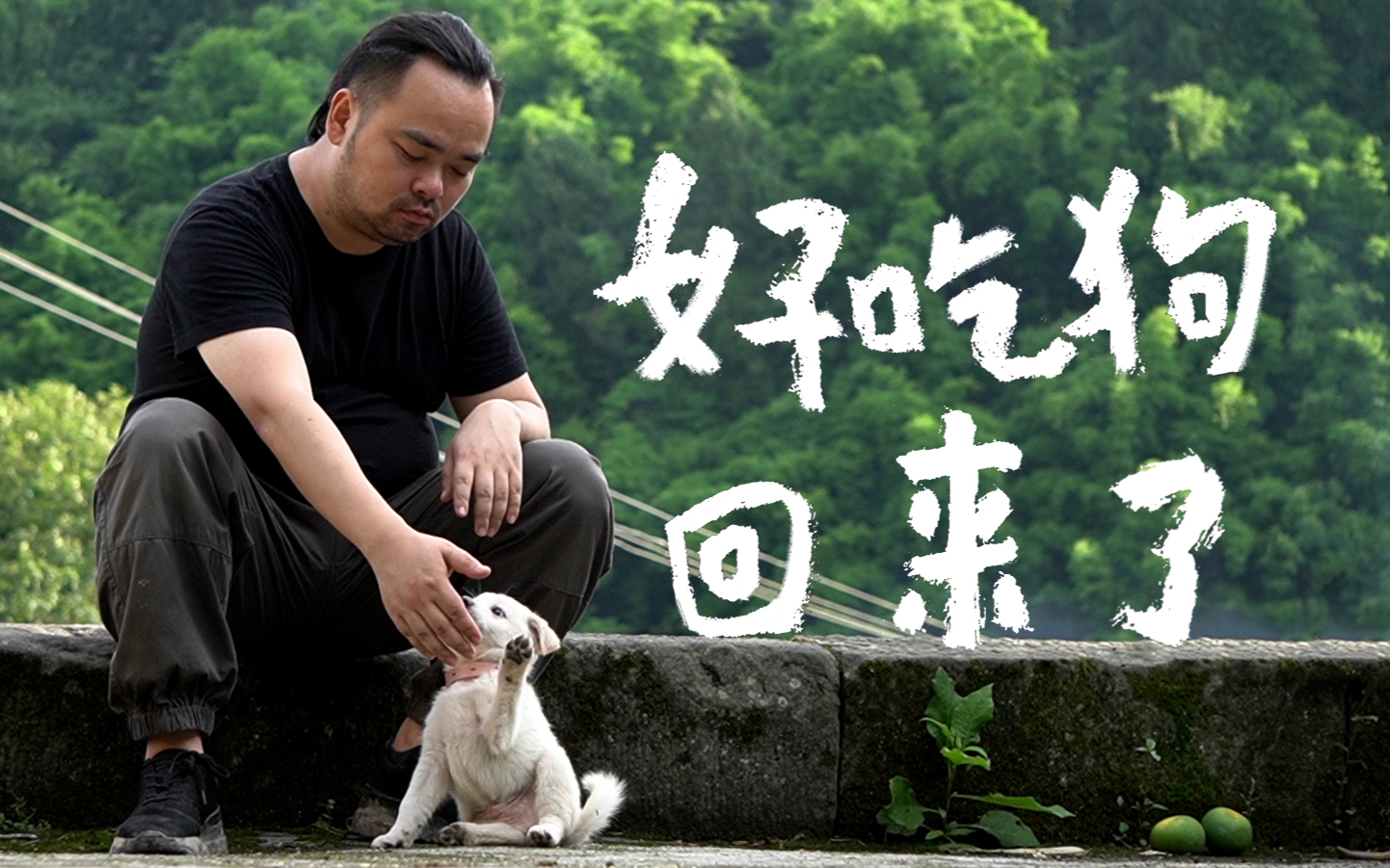 胖胖的山头『“好吃狗”回来了』