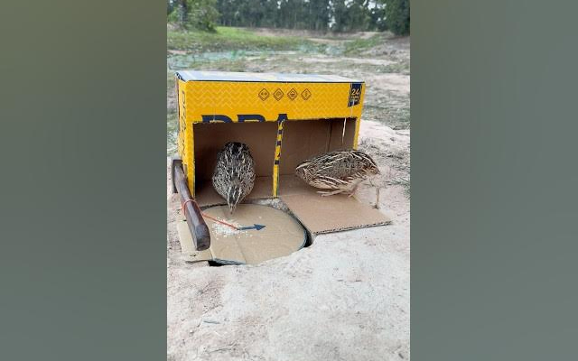 情绪很稳定