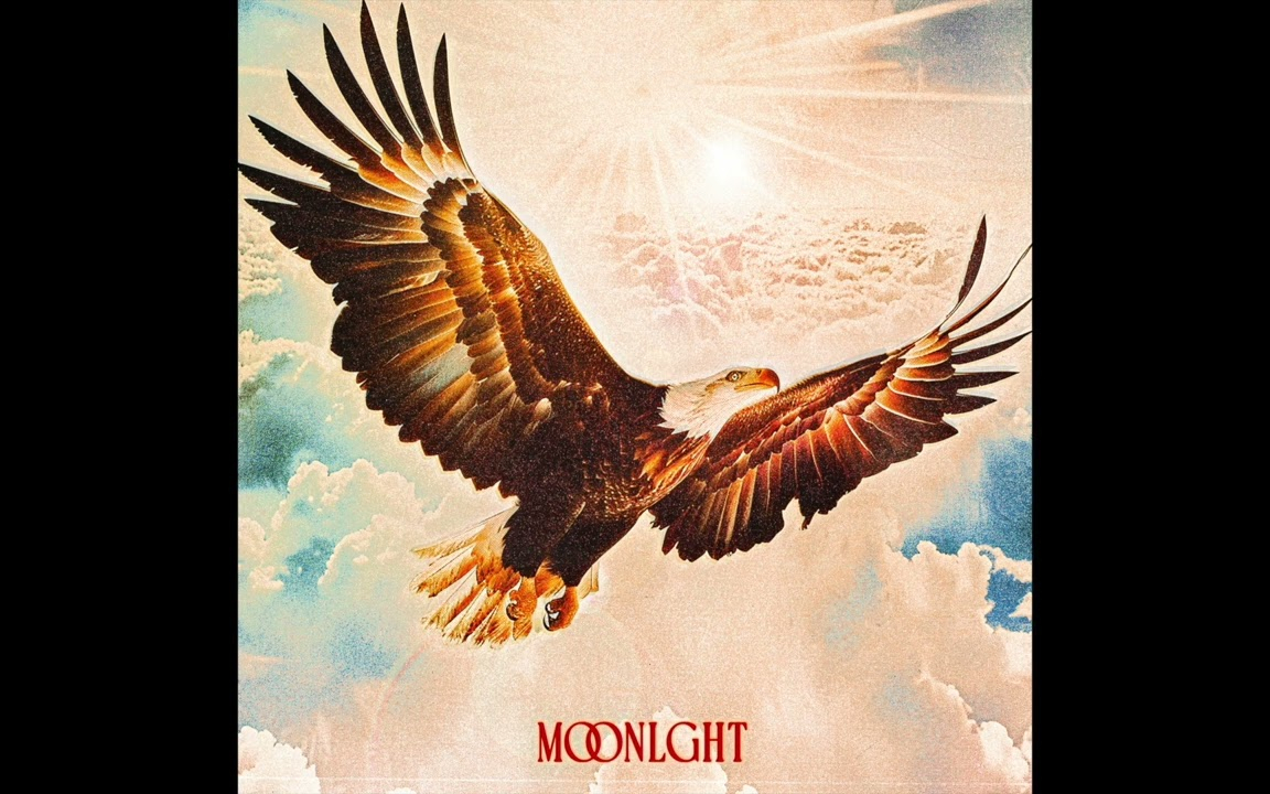 MOONLGHT - Free Bird
