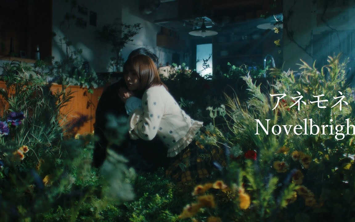 Novelbright - アネモネ [Official Music Video]