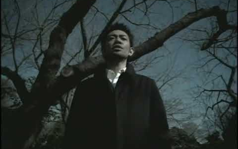 河口恭吾 - 桜