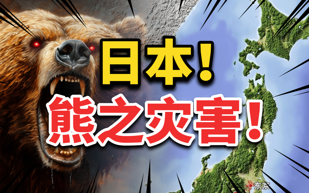 半年13人死亡，高度城市化的日本，为什么会熊灾泛滥？
