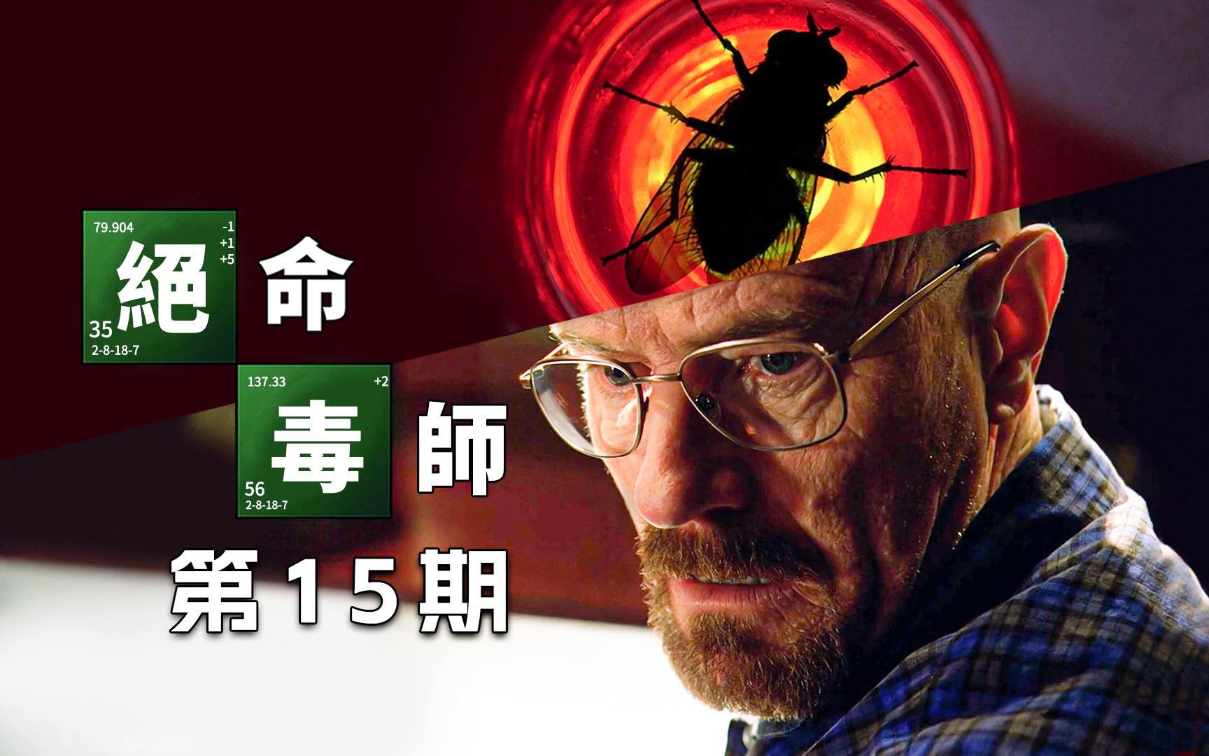 【墨菲】《绝命毒师》第15期：打苍蝇解读——把「充数集」拍成神篇（含彩蛋、色彩、音乐解析）