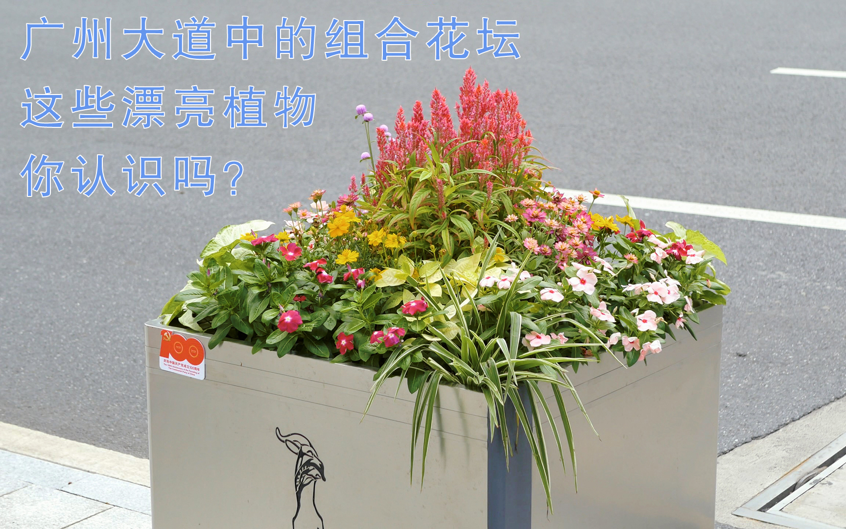 Acfun 花坛 话题 快来参与